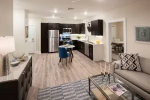 Apartment with kitchen with dark cabinets and living room with couch