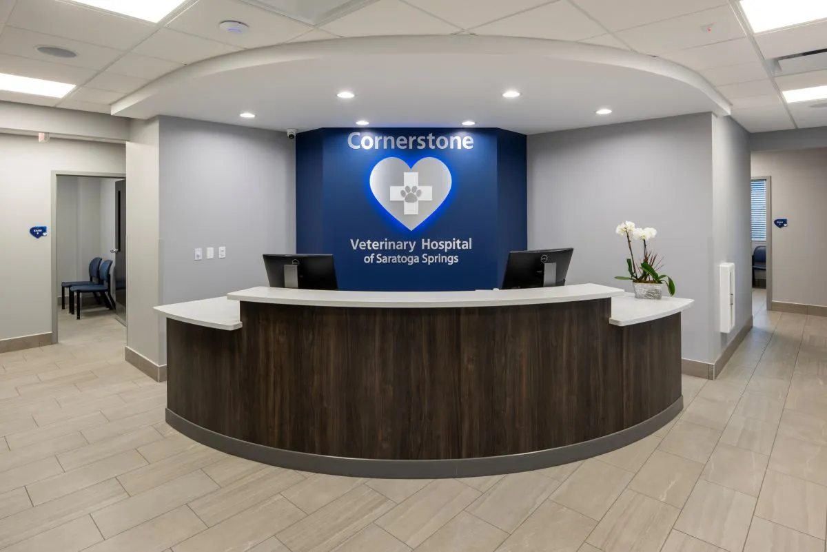 Cornerstone Veterinary Hospital Receptionist desk with wood frame and blue wall
